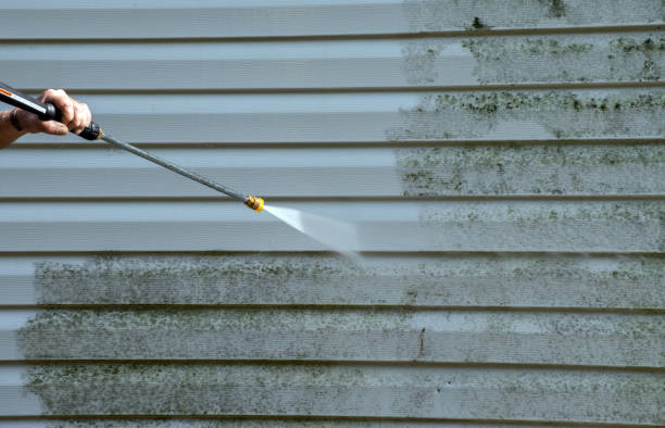 Best Deck Cleaning Services  in Point Baker, FL