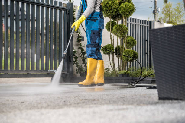 Best Local Pressure Washing Services  in Point Baker, FL