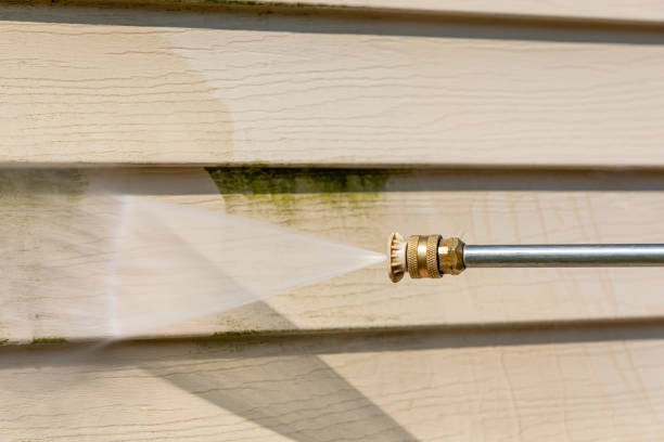 Best Pressure Washing Company Near Me  in Point Baker, FL