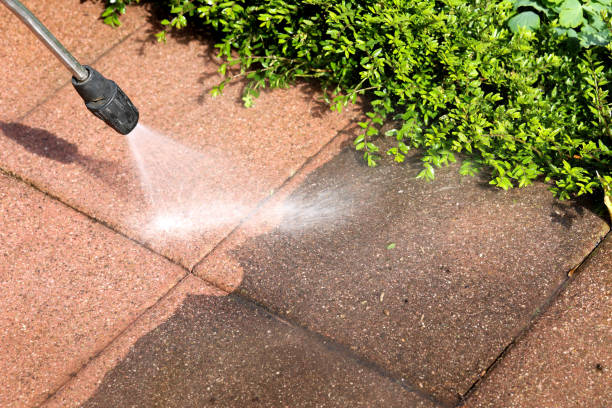 Best Roof Power Washing Services  in Point Baker, FL